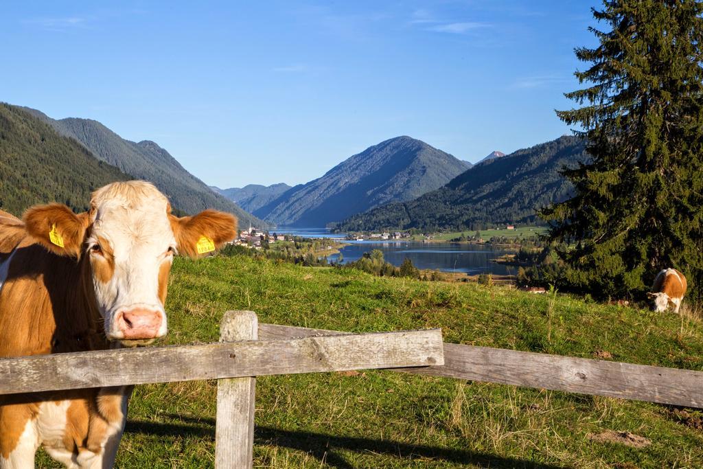 Appartamento Haus Kalt Weissensee Esterno foto